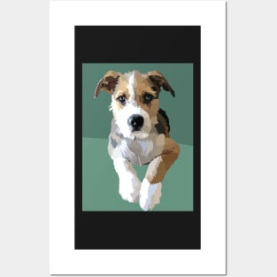 Terrier beagle cute dog 2 Posters and Art